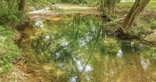 5011 Sunny Acres Dr, Waynesboro, TN 38485 - view of local wilderness
