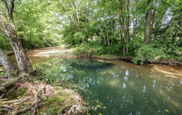 5011 Sunny Acres Dr, Waynesboro, TN 38485 - water view