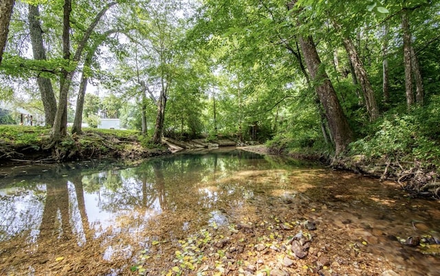 5011 Sunny Acres Dr, Waynesboro, TN 38485 - water view