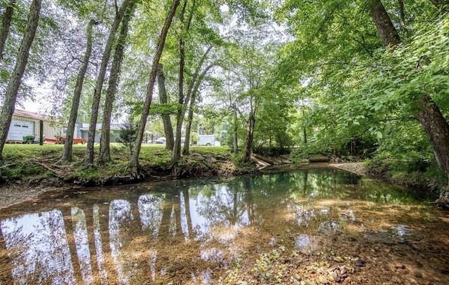 5011 Sunny Acres Dr, Waynesboro, TN 38485 - water view