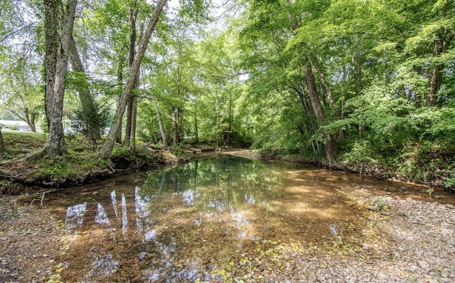 5011 Sunny Acres Dr, Waynesboro, TN 38485 - view of undeveloped land