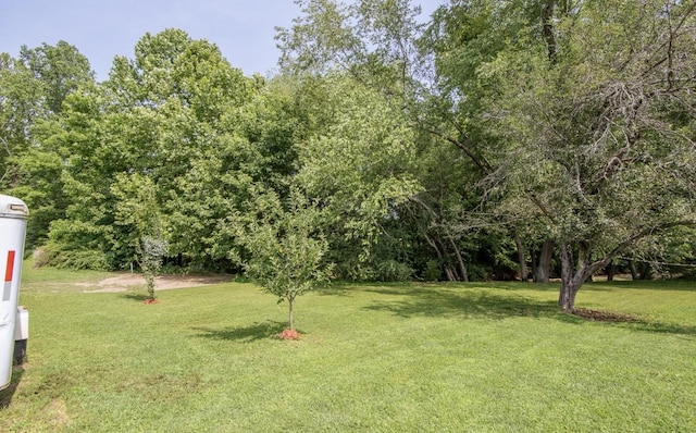 5011 Sunny Acres Dr, Waynesboro, TN 38485 - view of grassy yard