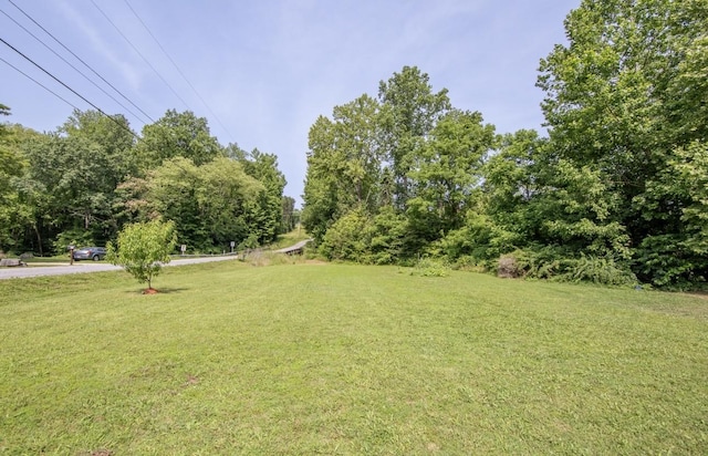 5011 Sunny Acres Dr, Waynesboro, TN 38485 - view of grassy yard
