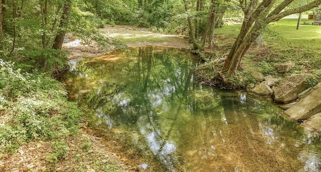 5011 Sunny Acres Dr, Waynesboro, TN 38485 - view of undeveloped land