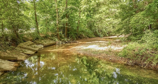 5011 Sunny Acres Dr, Waynesboro, TN 38485 - view of woods