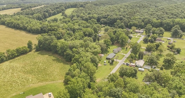 5011 Sunny Acres Dr, Waynesboro, TN 38485 - aerial view of a forest