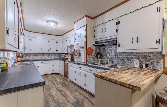 5011 Sunny Acres Dr, Waynesboro, TN 38485 - kitchen featuring a textured ceiling, white appliances, under cabinet range hood, white cabinetry, and dark wood-style flooring