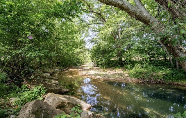 5011 Sunny Acres Dr, Waynesboro, TN 38485 - view of woods