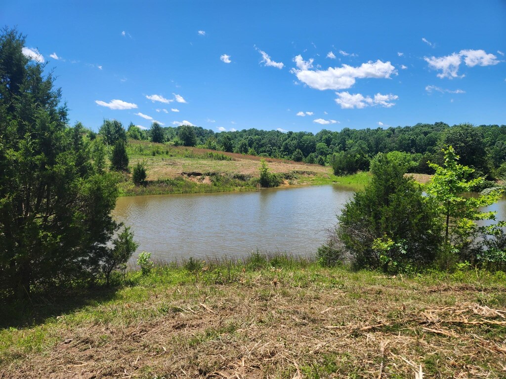 0 Rock Bridge Rd, Bethpage, TN 37022 - photo 1