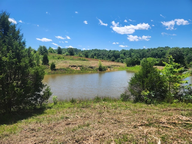 0 Rock Bridge Rd, Bethpage, TN 37022