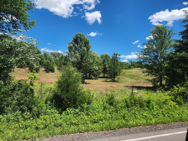 0 Rock Bridge Rd, Bethpage, TN 37022