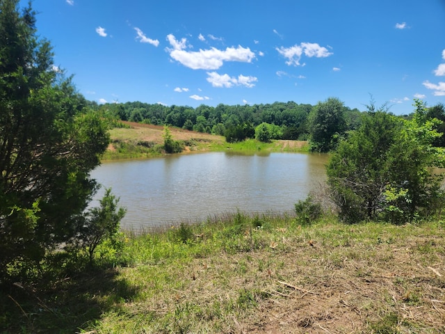 0 Rock Bridge Rd, Bethpage, TN 37022