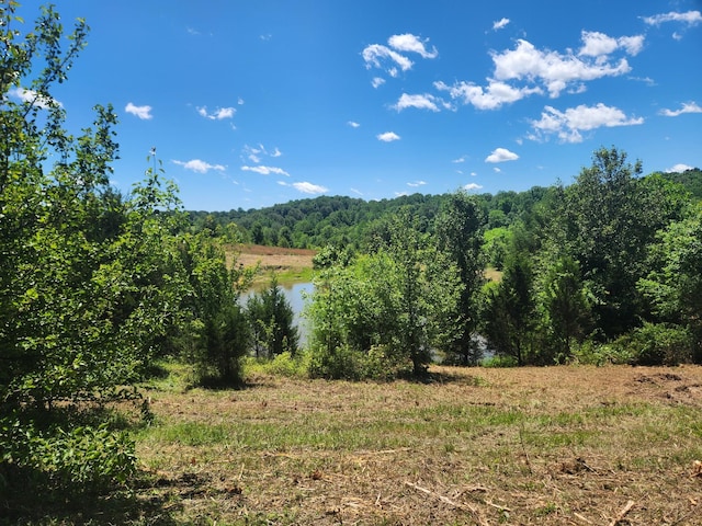 0 Rock Bridge Rd, Bethpage, TN 37022