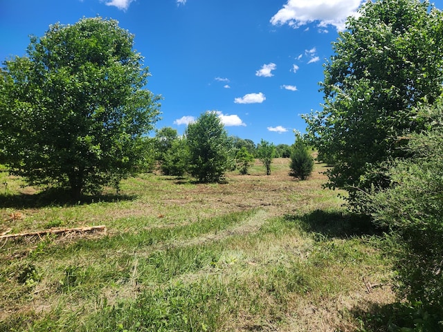 0 Rock Bridge Rd, Bethpage, TN 37022