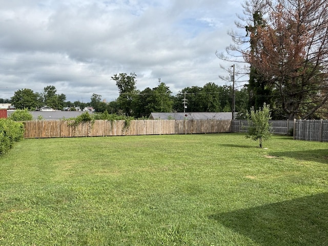902 Mcarthur St, Manchester, TN 37355 - view of fenced backyard