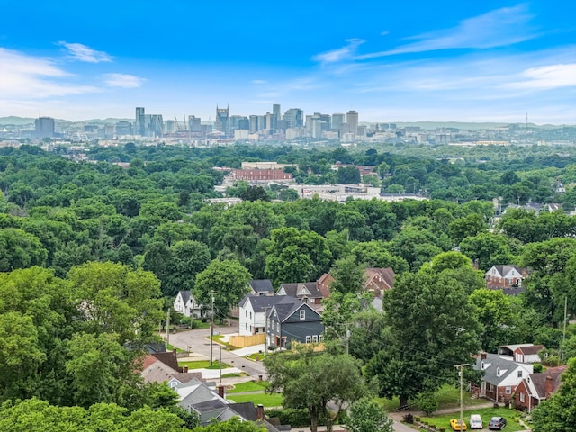 1135 Delmas Ave, Nashville, TN 37216 - bird's eye view of skyline