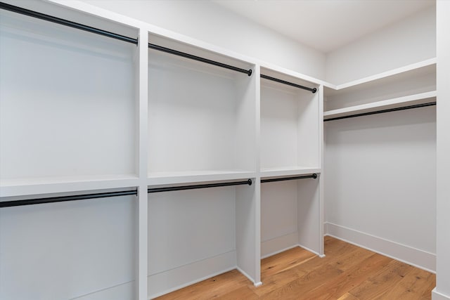 1135 Delmas Ave, Nashville, TN 37216 - spacious closet with light wood-style flooring