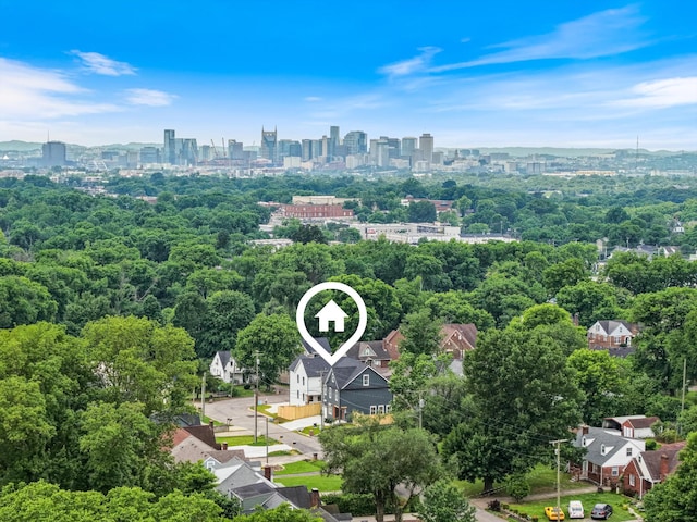 1135 Delmas Ave, Nashville, TN 37216 - aerial view of skyline