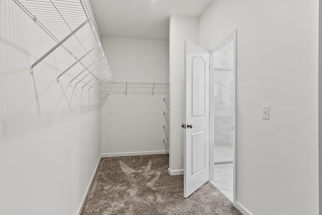 1611 Burlwood Ct, Murfreesboro, TN 37129 - photo 31