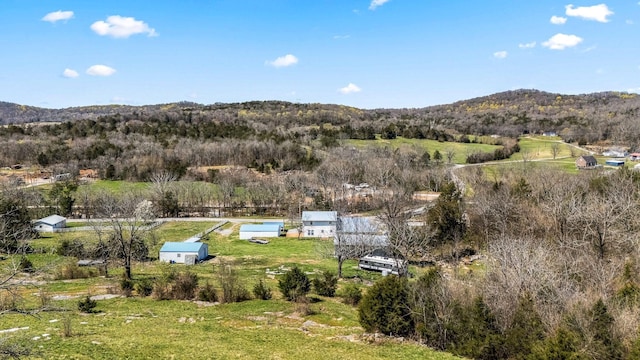 1036 Locke Creek Rd, Readyville, TN 37149 - view of subject property featuring a mountain backdrop and a heavily wooded area