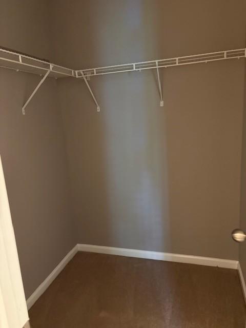 348 Arapaho Dr, Murfreesboro, TN 37128 - view of spacious closet
