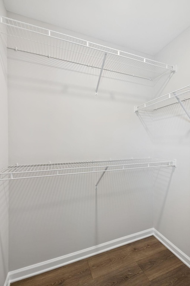 344 Kristen Ct, Columbia, TN 38401 - walk in closet featuring wood finished floors