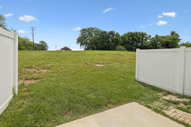 344 Kristen Ct, Columbia, TN 38401 - view of yard