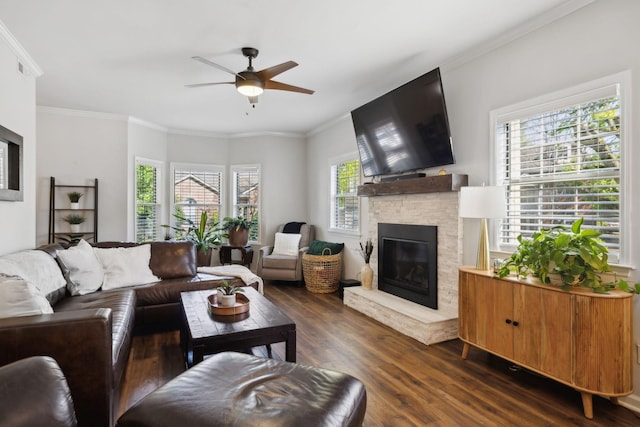 2016 Roderick Cir, Franklin, TN 37064 - living area featuring dark wood-style flooring, ceiling fan, a fireplace, and crown molding
