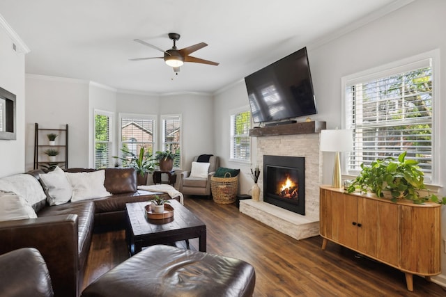 2016 Roderick Cir, Franklin, TN 37064 - living area featuring a stone fireplace, dark wood-style flooring, ceiling fan, and ornamental molding