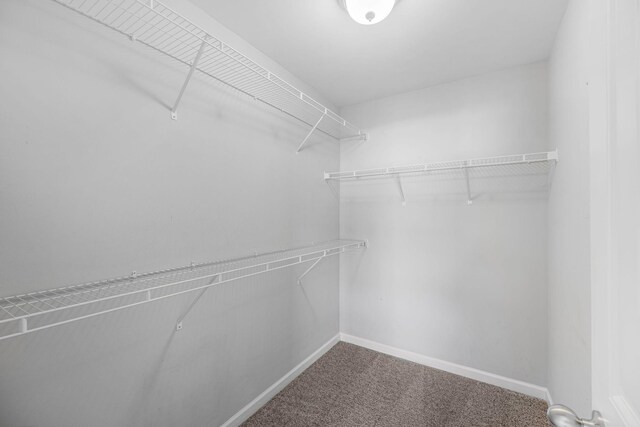 2146 Longhunter Chase Dr, Spring Hill, TN 37174 - photo 18