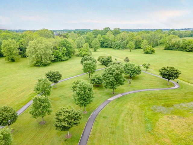 2146 Longhunter Chase Dr, Spring Hill, TN 37174 - photo 40