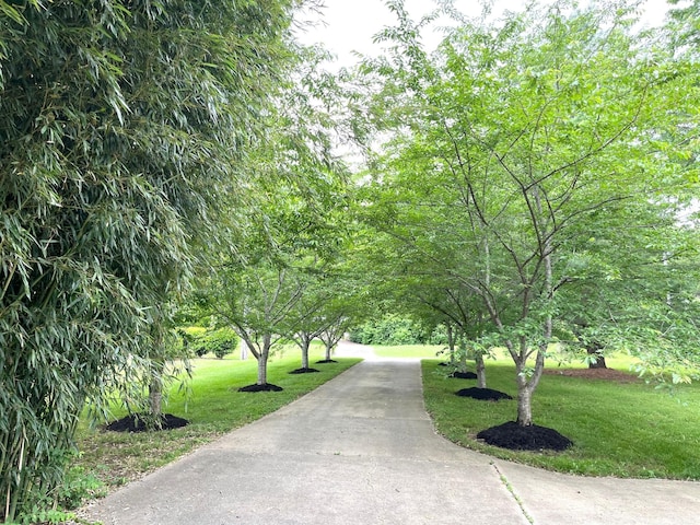 2214 Henpeck Ln, Franklin, TN 37064 - surrounding community featuring a yard