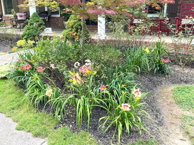 2214 Henpeck Ln, Franklin, TN 37064 - view of yard