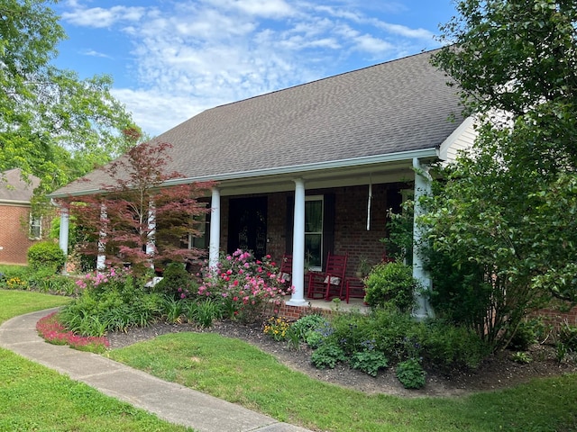 2214 Henpeck Ln, Franklin, TN 37064 - view of side of home with covered porch, a shingled roof, brick siding, and a yard