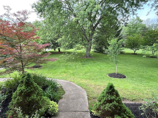 2214 Henpeck Ln, Franklin, TN 37064 - view of green lawn