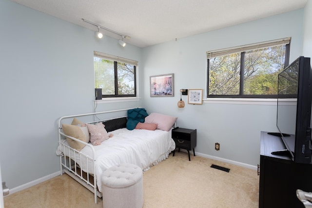 175 Twitty Rd, Dunlap, TN 37327 - carpeted bedroom with track lighting and baseboards