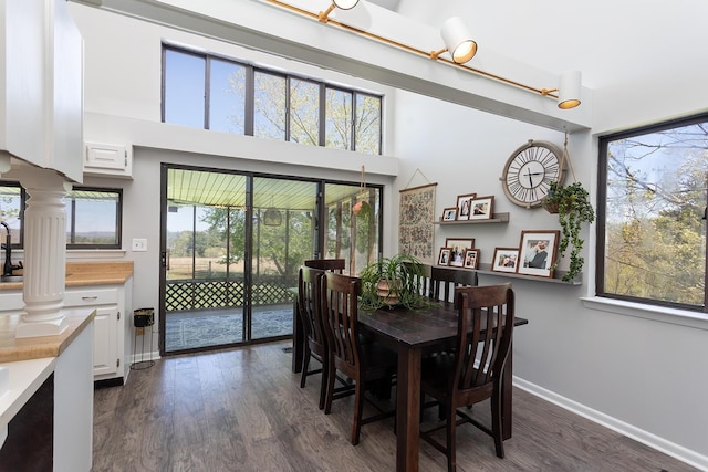 175 Twitty Rd, Dunlap, TN 37327 - dining room featuring plenty of natural light, dark wood-style floors, ornate columns, and a towering ceiling