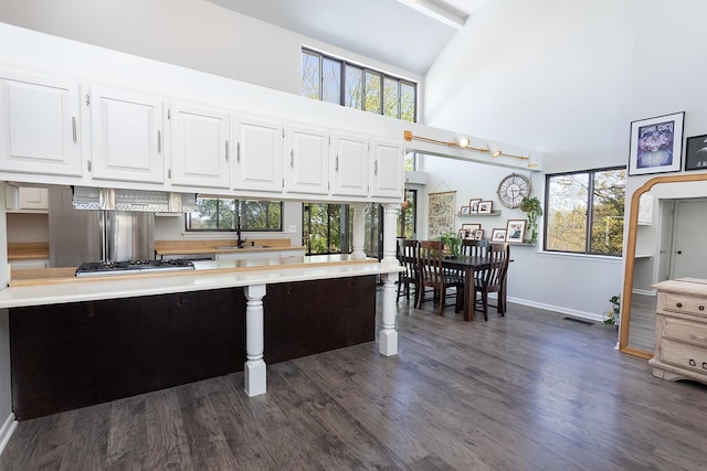 175 Twitty Rd, Dunlap, TN 37327 - kitchen featuring high vaulted ceiling, stainless steel gas stovetop, light countertops, white cabinetry, and dark wood finished floors
