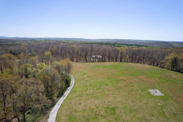 175 Twitty Rd, Dunlap, TN 37327 - bird's eye view of a forest
