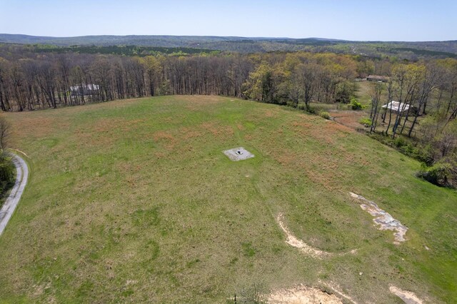 175 Twitty Rd, Dunlap, TN 37327 - aerial view of a heavily wooded area