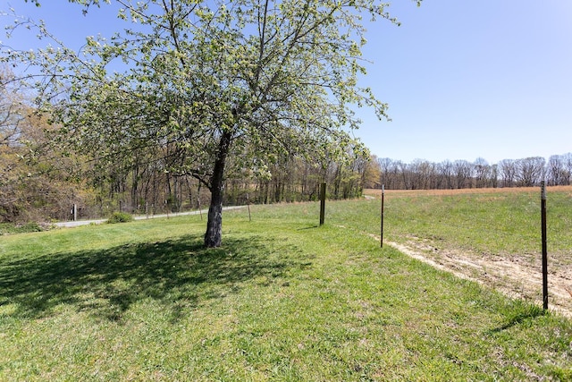 175 Twitty Rd, Dunlap, TN 37327 - view of grassy yard