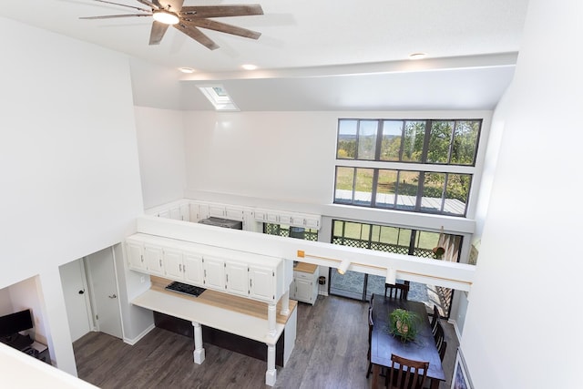 175 Twitty Rd, Dunlap, TN 37327 - bedroom with a skylight, multiple windows, and dark wood-style flooring