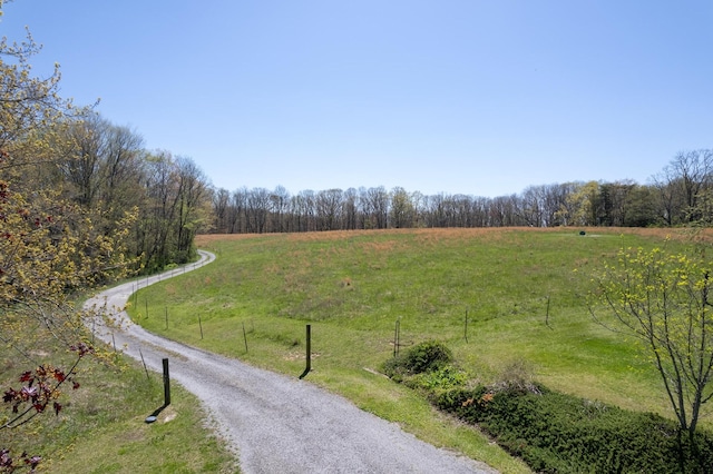 175 Twitty Rd, Dunlap, TN 37327 - view of street featuring a rural view and a wooded view