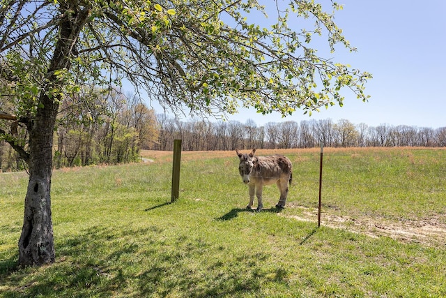 175 Twitty Rd, Dunlap, TN 37327 - view of green lawn with a view of countryside