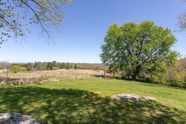 175 Twitty Rd, Dunlap, TN 37327 - view of green lawn with a view of rural / pastoral area