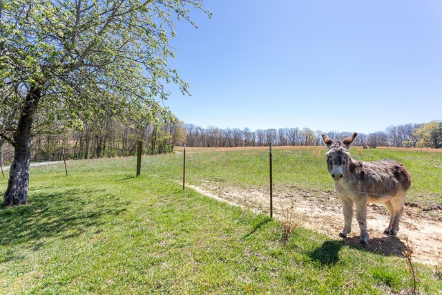 175 Twitty Rd, Dunlap, TN 37327 - view of grassy yard featuring a view of rural / pastoral area