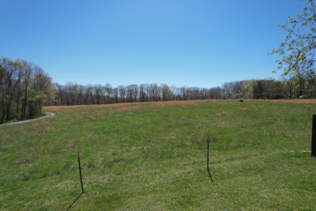 175 Twitty Rd, Dunlap, TN 37327 - view of yard with a view of rural / pastoral area