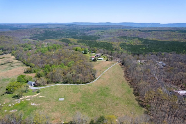 175 Twitty Rd, Dunlap, TN 37327 - bird's eye view of a mountain backdrop and a forest