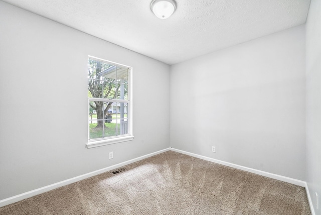 643 Artic Ave, Oak Grove, KY 42262 - empty room featuring healthy amount of natural light, carpet floors, and a textured ceiling