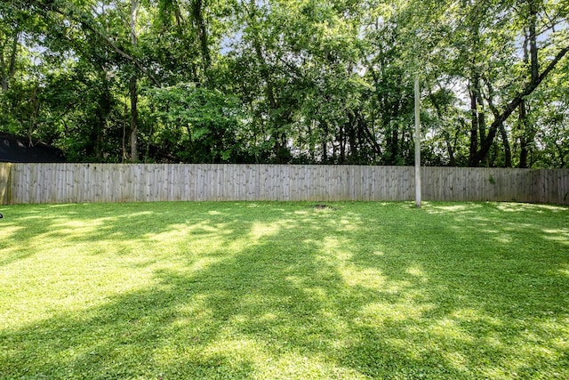 100 Beech St, Columbia, TN 38401 - view of fenced backyard
